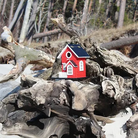 Hafenkieker Appartement Born