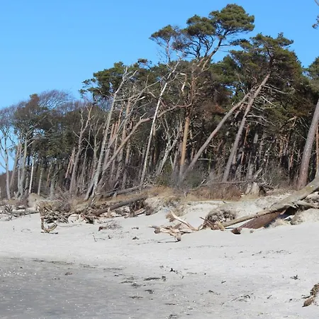 Hafenkieker Appartement