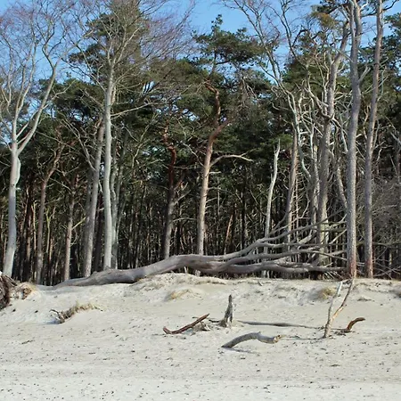 Hafenkieker Appartement Born